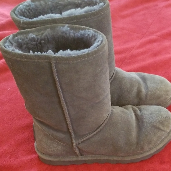 bearpaw clearance